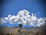 A scenic view of a mountain range with sparse clouds in a bright blue sky. The foreground features a few tall palm trees, enhancing the natural beauty of the landscape—ideal for capturing and showcasing in an online art gallery.