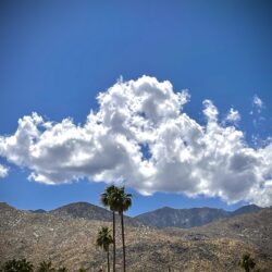 A scenic view of a mountain range with sparse clouds in a bright blue sky. The foreground features a few tall palm trees, enhancing the natural beauty of the landscape—ideal for capturing and showcasing in an online art gallery.