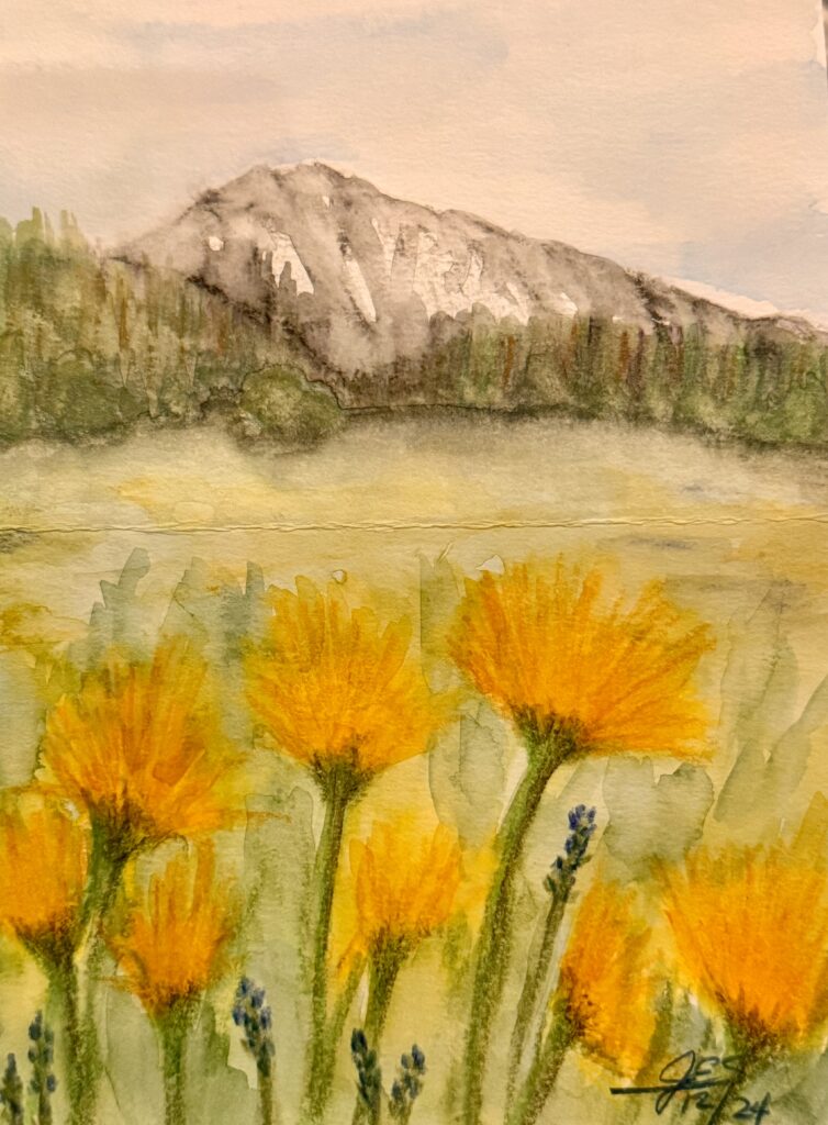 Jim Slavik –  Crested Butte Wildflowers