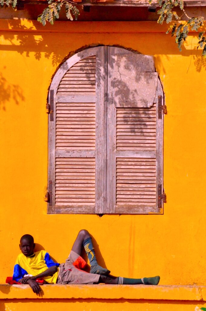 Karen Safer –  Marigold Wall