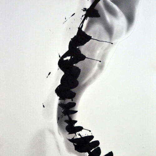 a grayscale image of a human torso with an artistic, bold black ink brushstroke depicting the curve of the spine along the back. the background is light, emphasizing the abstract yet anatomical design.