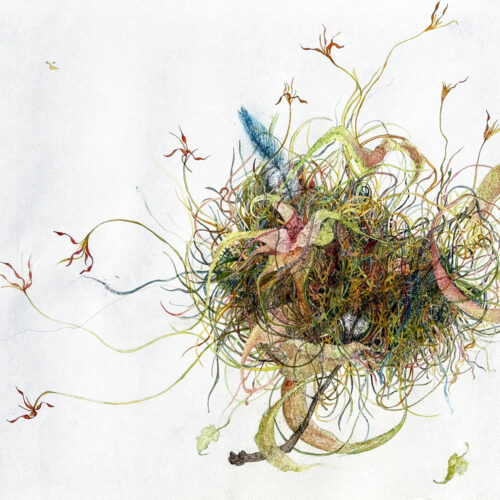 a colorful, abstract tangle of delicate lines, curves, and shapes on a white background, resembling intertwined plant stems, leaves, and threads with hints of blue, green, red, and yellow.