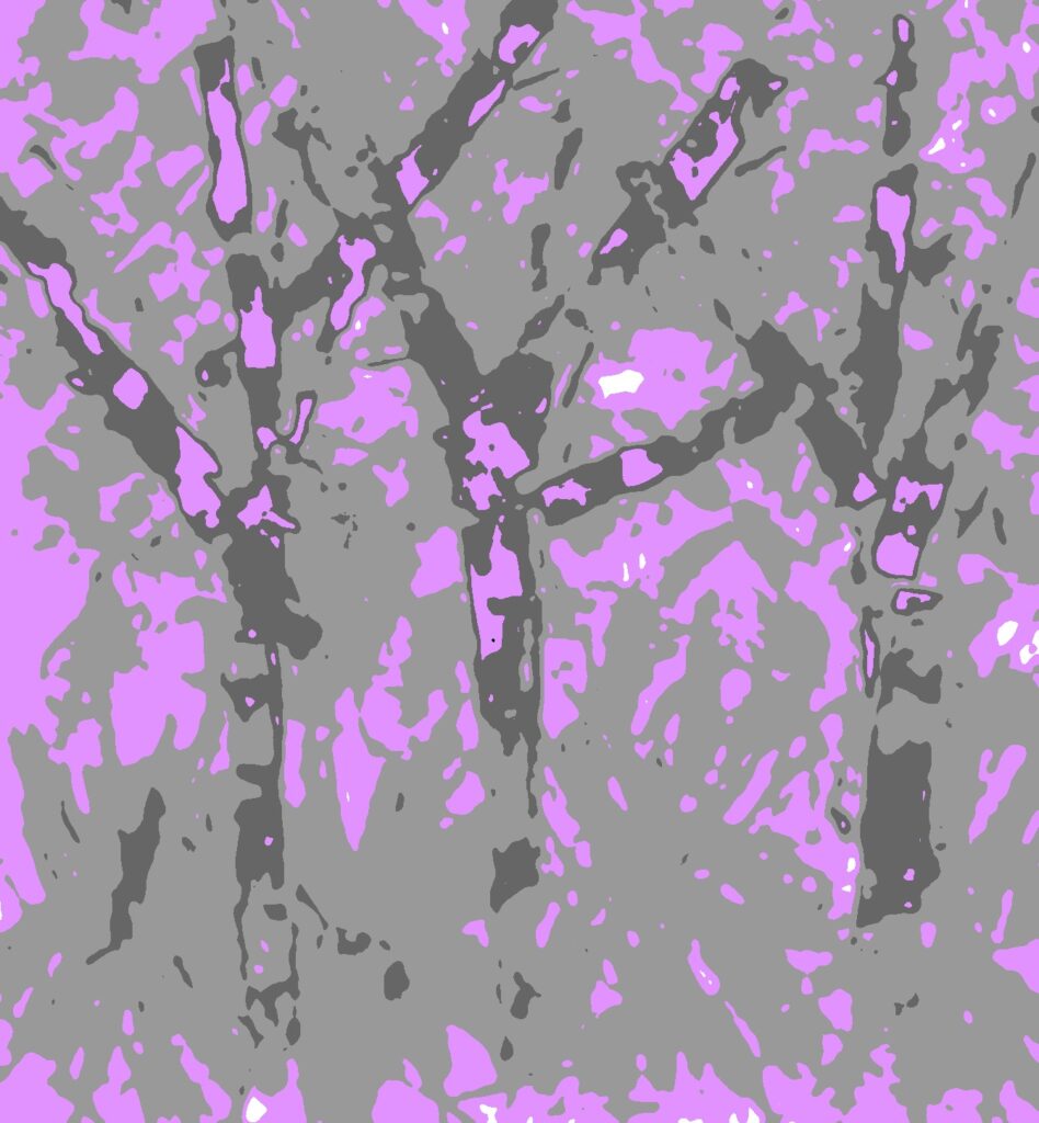 Kate Weingart – Notan Thicket in violet