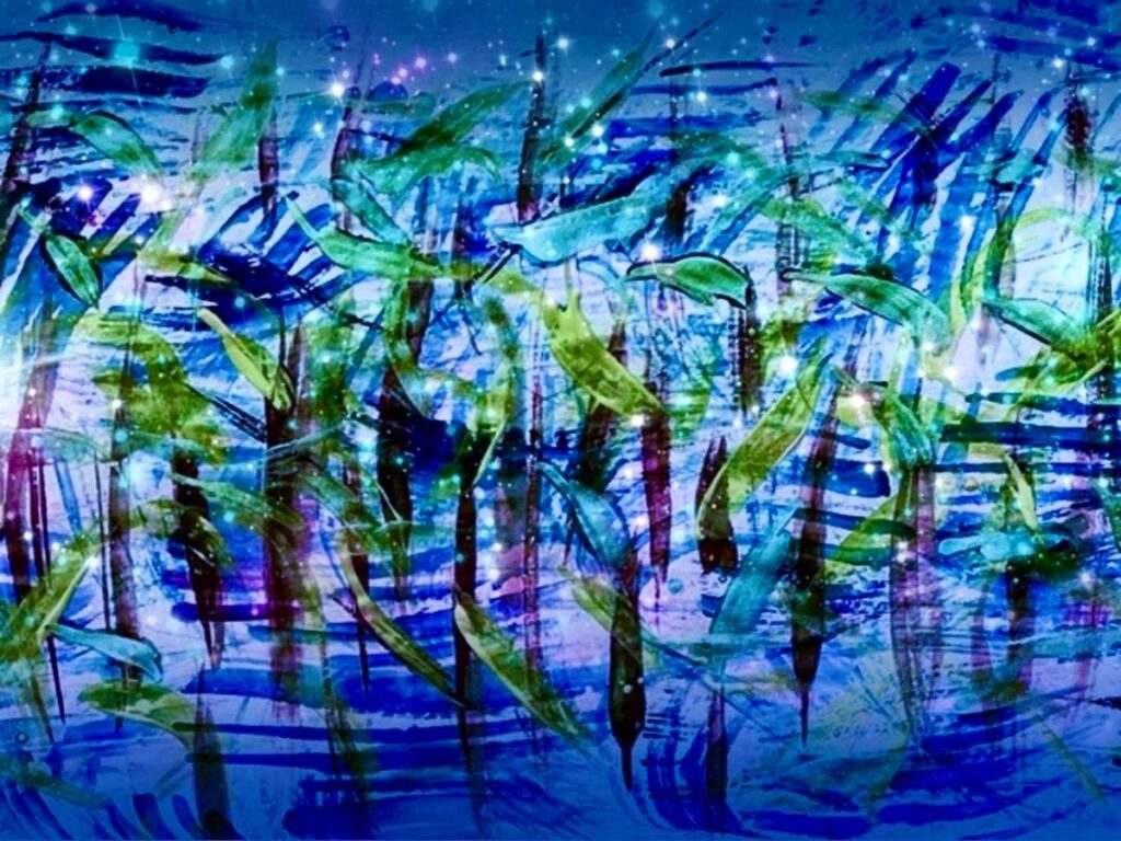 Kate Weingart – Wetland vista