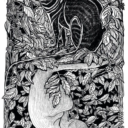 black and white illustration of two cats among dense leafy branches; one cat is dark and upright near the top, the other is light and upside down near the bottom, both surrounded by intricate foliage.