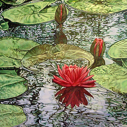 Gwendalin Aranya - Magic Lotus