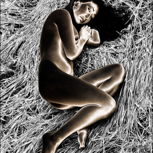 A stylized, inverted-color image of a woman curled up lying in tall, dry grass.