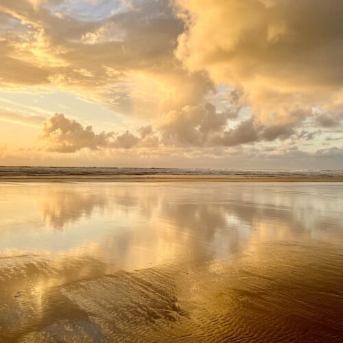 Brigitte B Burckhardt - Reflection