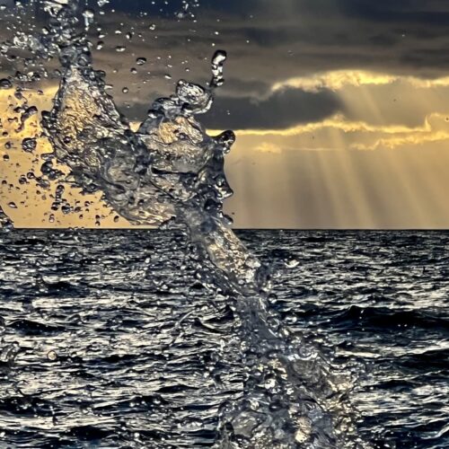 Brigitte B Burckhardt - The Wave
