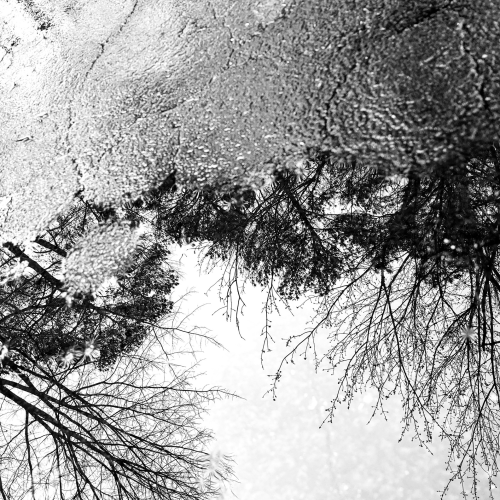 Ann Davis - World in Reflection
