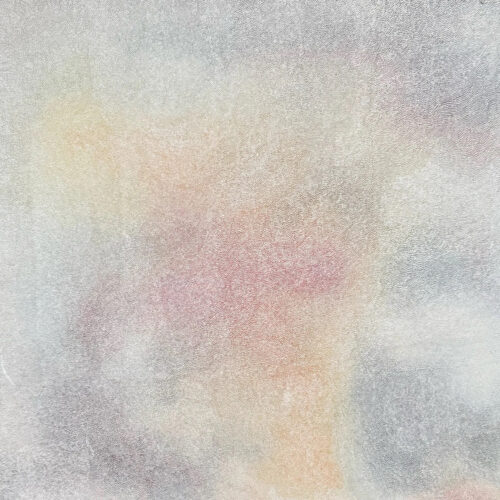 Victoria Harrison - Fog, San Francisco, 2026