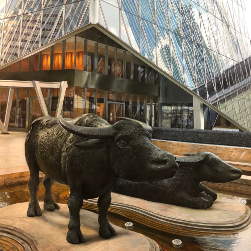 Two bronze water buffalo statues in a shallow fountain pool in front of a modern glass office building.