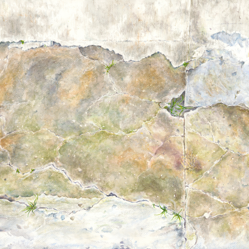 Cracked, weathered concrete with patches of moss and small green plants growing in the crevices, against a pale, worn wall background.