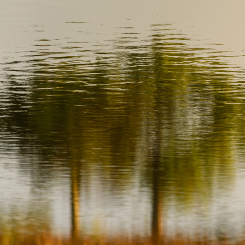 Gina Risso - Standing Together on the Surface
