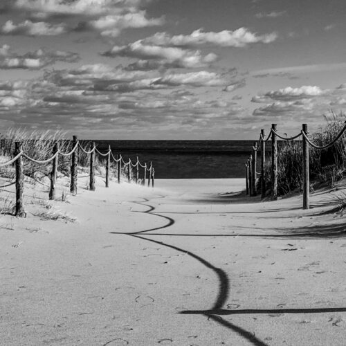 Steve Rizzi - Path to the Beach