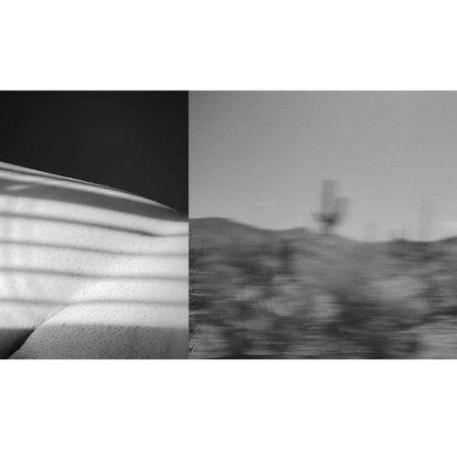 Black-and-white diptych: on the left, striped light falls on textured skin; on the right, a blurred desert scene with cacti and mountains under a clear sky.