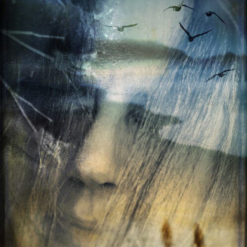 a surreal, layered image of a woman’s face blended with streaks resembling rain, birds flying across a cloudy sky, and two small, distant figures walking on a dark landscape.
