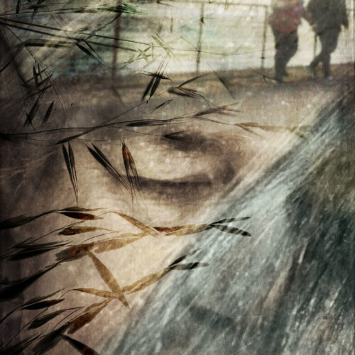 a double exposure image showing two blurred people standing by a railing overlaid with reeds and the faint outline of a human face, creating a dreamy, layered effect.