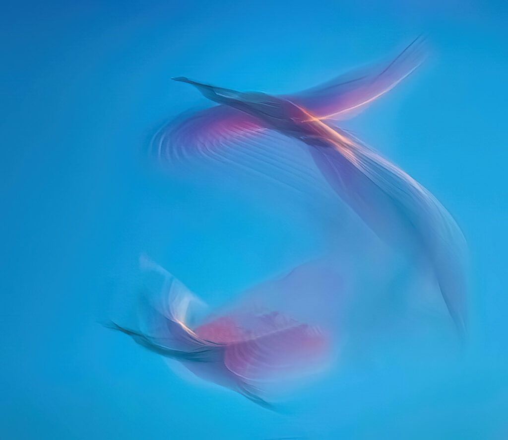 Arthur Jacoby – To Soar