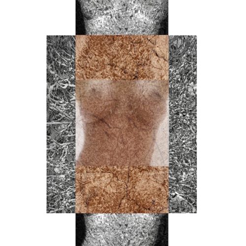 Elizabeth Finger - Snow Nymph