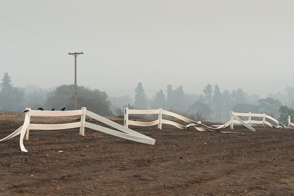 Douglas R Smith – Burnt Fence