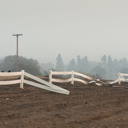 Douglas R Smith - Burnt Fence