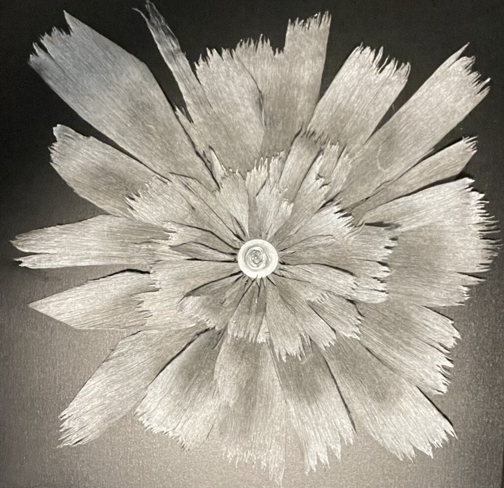 Oleksandr Brzhezytskyi – Obsidian Carnation