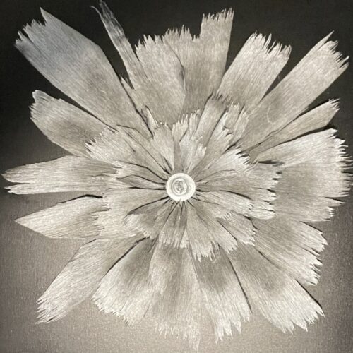 Oleksandr Brzhezytskyi - Obsidian Carnation