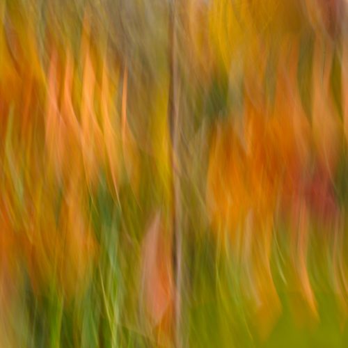 Ingrid Hann - Rhythmic