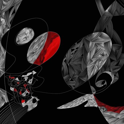 Micha Riss - Organized Chaos 01