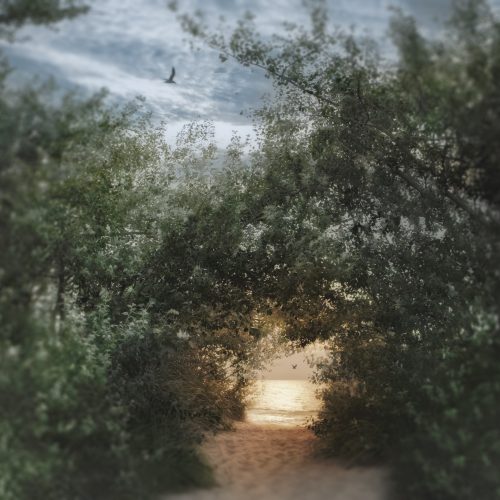 carolyn silvernail - Tunnel to Beach