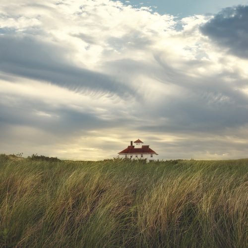carolyn silvernail - House in Grass