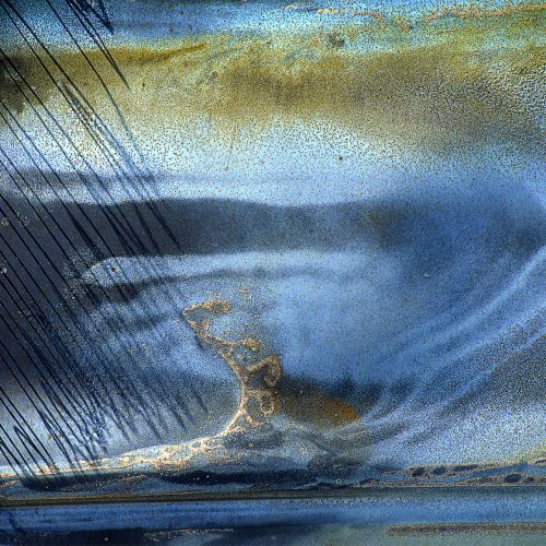 Jack Straton - Mouse defiant, arising from the Eaton Fire, Altadena
