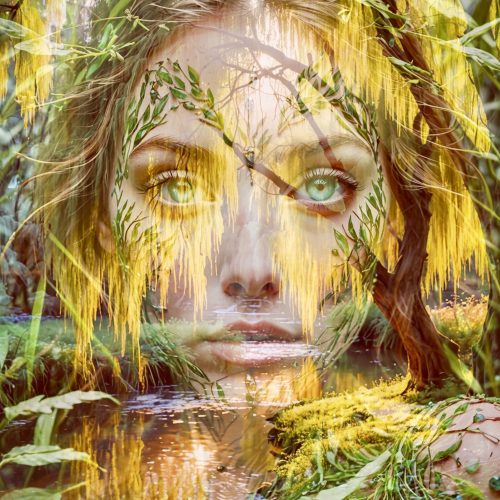 Kalib Bryan - Willow