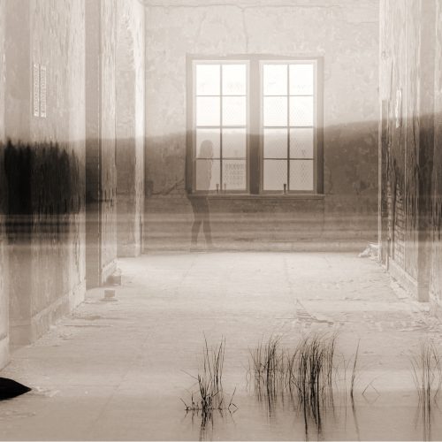 John Diephouse - Seeking Solitude